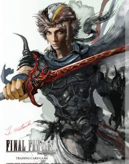 Final Fantasy II : Firion Sleeves