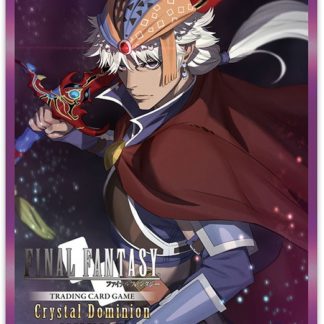 Crystal Dominion Firion Sleeves